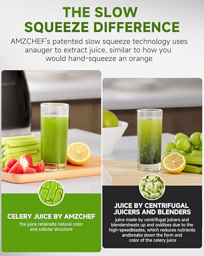 Juicer Machines - AMZCHEF Cold Press Masticating Juicer whole Fruit and Vegetable - Delicate Chew No Need to Filter - BPA Free Juice Extractor with 2 Cups and Brush- Ebony
