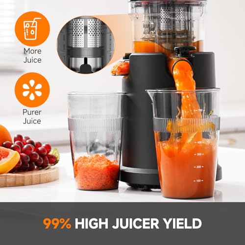 Cold Press Juicer Machines with 5.4" Wide Feed Chute, Slow Masticating Juicer Extractor for Whole Fruits & Vegetables, Quiet Motor, Easy to Clean with Brush, High Juice Yield, Black