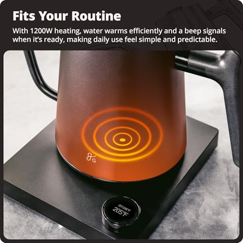 Greater Goods Electric Gooseneck Kettle, 1200W Stainless Steel with Precision Temperature Control, Fast Boil, BPA-Free, Ideal for Pour Over Coffee and Tea, 0.8L (Onyx Black)