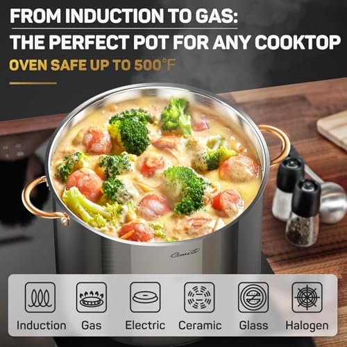 Ciwete Stock Pot 20 Quart, 3 Ply Stainless Steel Stock Pot with Lid, 20 Quart Soup Pot with Copper Handle, Healthy Stockpots, Induction, Oven, Gas and Dishwasher Safe