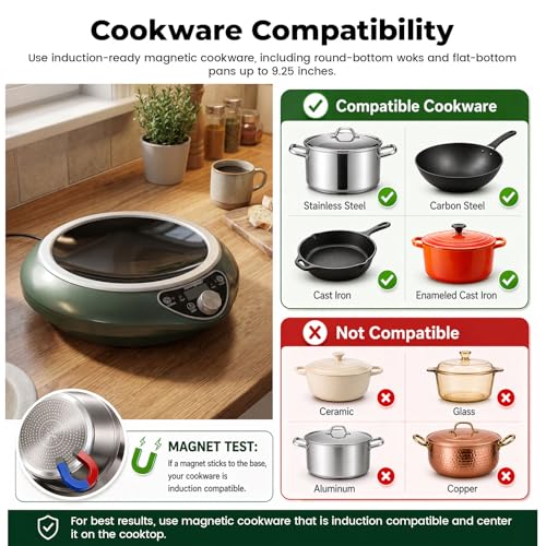 ABngdun Concave Induction Wok Cooktop, 1700W 120V Portable Induction Burner Electric Hot Plate (Cooktop with Stainless Steel Wok)