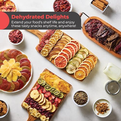 Magic Mill Premium Food Dehydrator Machine (10 Extra-Large Stainless Steel Trays) 700W Dryer for Beef Jerky, Fruits, Vegetables, Dog Treats, 48 Hour Digital Timer - 95°-167° Temperature Control