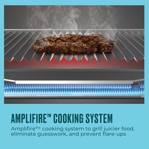 Charbroil Grill2Go X200 Portable Gas Grill, Dark Grey - 25409200