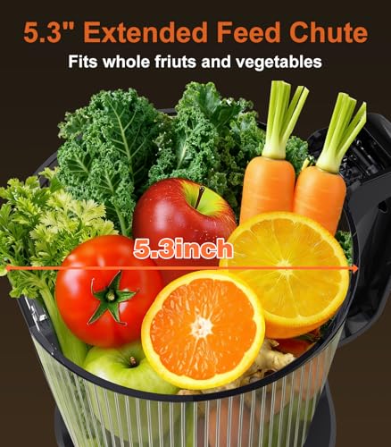 URVIBY Juicer Machines, Cold Press Juicer with Double Press Technology, Large Feed Chute, 400W Motor, High Juice Yield, Easy to Clean, Masticating Juicer for Whole Vegetables & Fruits, Dark Black