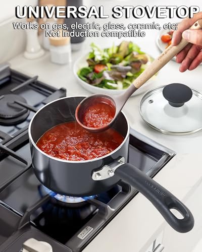 Cook N Home Basic Nonstick Saucepan with Glass Lid, Non Stick Aluminum Sauce Pan, Multi-purpose Kitchen Pot, Milk Chocolate Cooking Pot Pan with Stay-Cool Handle, 3-Quart, Black