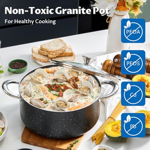 BEZIA Large 8 Quart Nonstick Stock Pot with Lid, Induction Cooking Pot Soup Pot, Non-toxic and Oven Safe, Perfect for Stews, Soups and All Stovetops, PFOA PFAS Free