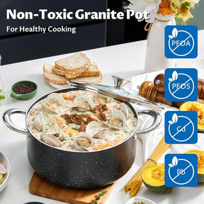 BEZIA Large 8 Quart Nonstick Stock Pot with Lid, Induction Cooking Pot Soup Pot, Non-toxic and Oven Safe, Perfect for Stews, Soups and All Stovetops, PFOA PFAS Free