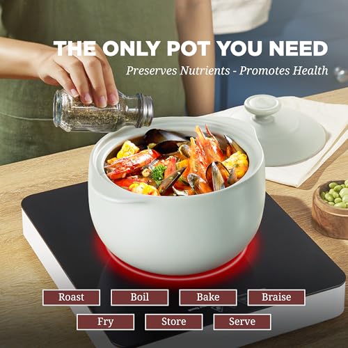 MINH LONG 2-Qt Porcelain Dutch Oven with Lid – Lead & Cadmium Free, Oven Safe to 482°F, Heat Retention, Clay Pot for Cooking on Gas & Infrared Cooktop, Use to Marinate, Cook, Bake, Refrigerate & Serve