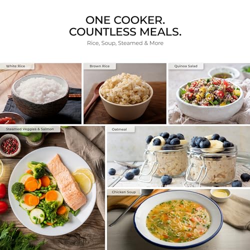CUCKOO Basic Rice Cooker 10-Cup Uncooked / 20-Cup Cooked, Large Rice Maker and Warmer with Nonstick Inner Pot, Easy to Use with Auto Keep Warm, Includes Steam Tray, White (CR-1095)