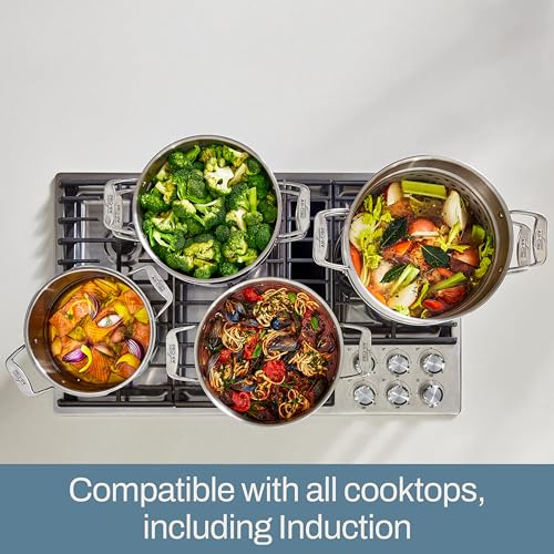 All-Clad Stockpot 12 qt Stainless Steel Multipot With Insert & Lid, Stainless Steel Pot, Induction, Oven Broiler Safe 600F Skillet, Professional Cookware, Silver