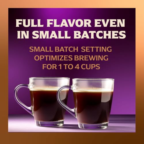 Mr. Coffee® 12 Cup Coffee Maker, Coffee Maker with Decaf Brew and Iced Coffee Brew Settings, Small Batch Setting for 1 to 4 Cups, Reflection