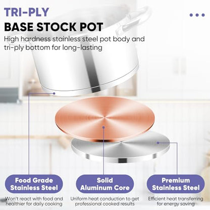 TeamFar 6QT Stainless Steel Stock Pot, Tri-ply Base Cooking Pasta Sauce Soup Pot with Glass Lid for Induction/Gas/Ceramic Stoves, Transparent Cover & Double Handles, Heavy Duty & Dishwasher Safe