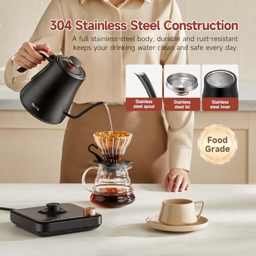 OLEGA Gooseneck Electric Kettle: 1000W Electric Kettles with Temperature Control 0.8L Stainless Steel Electric Tea Kettle Gooseneck Kettle for Coffee Tea Keep Warm (Black)