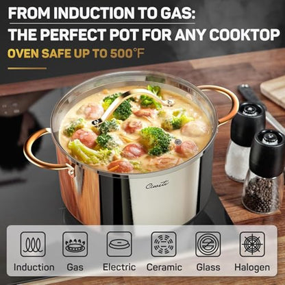 Ciwete Stock Pot 12 Quart, 18/10 Tri-Ply Stainless Steel Whole Clad Stock Pot with Lid, Seamless 12 QT Cooking Pot with Copper Handle, Healthy Stockpots, Induction, Gas, Oven and Dishwasher Safe