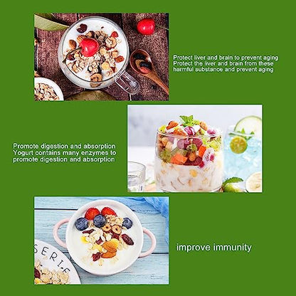 Cryfokt Yogurt Maker Machine, Energy Saving DIY Yogurt Maker Machine Stainless Steel Container Compact for Kitchen (US Plug 110V)