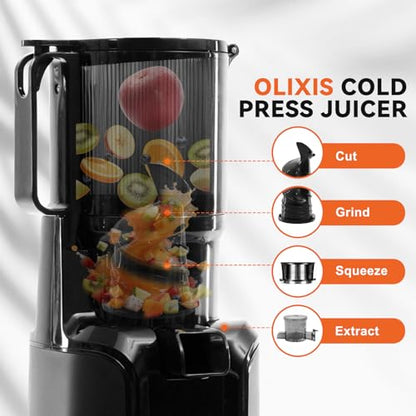 NEWBULIG Cold Press Juicer Machines, Masticating Juicer with High Juice Yield, Reverse Function, Stops Oxidation and Easy to Clean for Vegetables & Fruits, Black