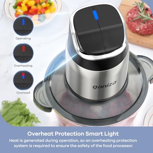 Ganiza Food Processor with Dual Bowls, 2-Speed Food Chopper & Meat Grinder