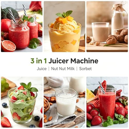 AMZCHEF Cold Press Juicer, 6.0" Whole Fruit Self-Feeding Slow Juicer