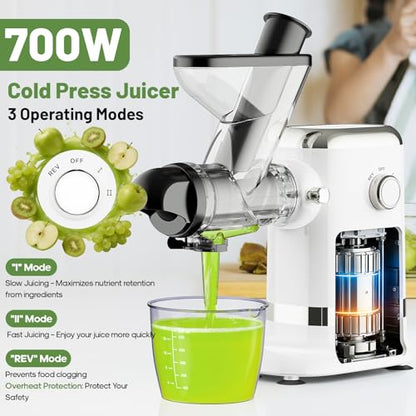 GVODE Cold Press Juicer, Powerful Masticating Juicer with Dual Feed Chute, Electric Juicer with Pulp Separation, Countertop Juicer Machines, 75dB, 3 Mode Operations, Overheat Protection