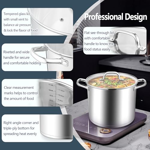E-far 12 Quart Cooking Stock Pot, Large Stainless Steel Pot for Canning Simmering Stewing, Heavy Duty Cookware with Tri-ply Base for Induction Gas Stoves, Soup Pots with Glass Lid, Dishwasher Safe