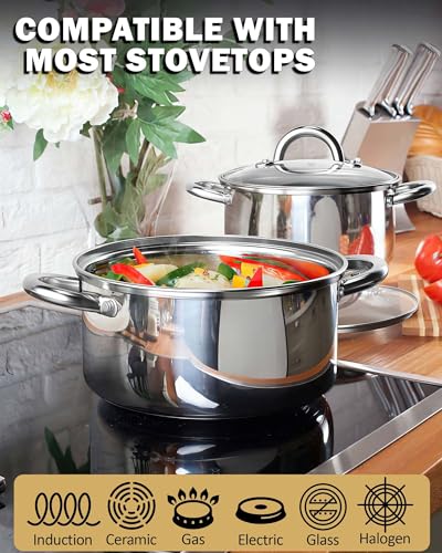 Cook N Home Stainless Steel Stock Pot, 12 Quart Stock Pot with Lid for Pasta, Soup, Heavy Duty Induction Soup Pot, Sturdy Handle, Oven Safe, Dishwasher Safe, Cookware for Canning, Boiling, Simmer