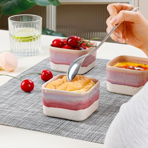 NUTRIUPS 8 oz Ramekins Oven Safe - Square Custard Cups, Ceramic Ramekins for Pudding, Creme Brulee,Souffle, Serving Dip, Ice Cream, 4-Piece Set (Pastel Lilac Flow)