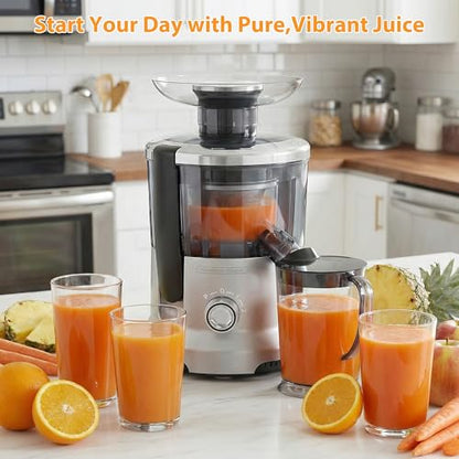NEWBULIG Centrifugal Juicer, 600W Juicer Machine with 2.5" Feed Chute & 17,000 RPM, 3-Speed Juice Extractor for Whole Fruits Vegetables, Easy to Clean, BPA-Free, Silver