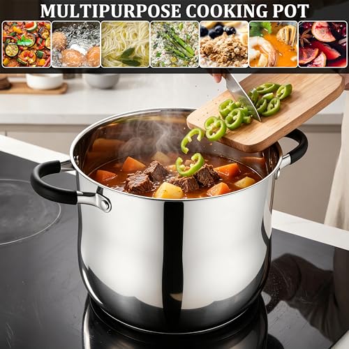 E-far 10 Quart Stock Pot, Stainless Steel Pot for Cooking Soup Simmering Stew, Tall Induction Pot with Visible Lid, Large Pot w/Tri-Ply Base & Dual Heat Proof Handles, Non-Toxic & Dishwasher Safe