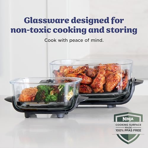 Ninja Crispi Glass Air Fryer, 4-in-1, Frosted Lilac, FN101PR