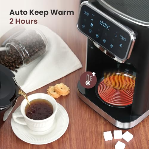 Gevi Touchscreen 12-Cup Coffee Maker, Bold & Iced Brew, Glass Carafe