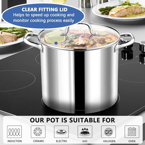P&P CHEF 12 QT Stock Pot with Lid, Stainless Steel Large Cooking Pot, Soup Canning Stockpot for Stewing Simmering, Tri-ply Bottom for All Stoves, Heavy-Duty &Dishwasher Safe & Food-Grade