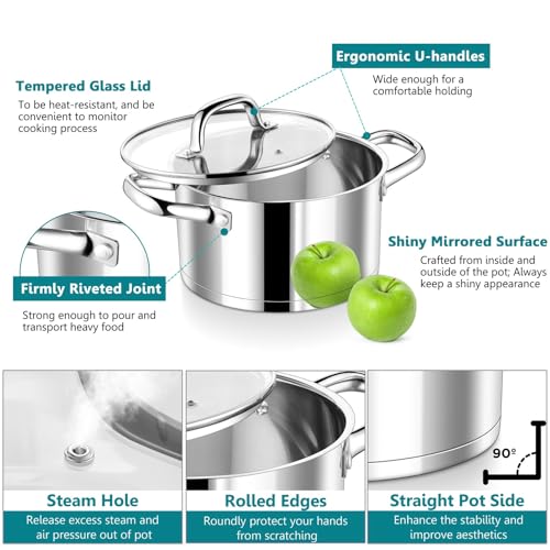 P&P CHEF 6 Quarts Cooking Stock Pot with Lid, Stainless Steel Stockpot Induction Pot for Soup, Tri-Ply Bottom & Clear Glass Lid & Double Handle, Dishwasher Safe
