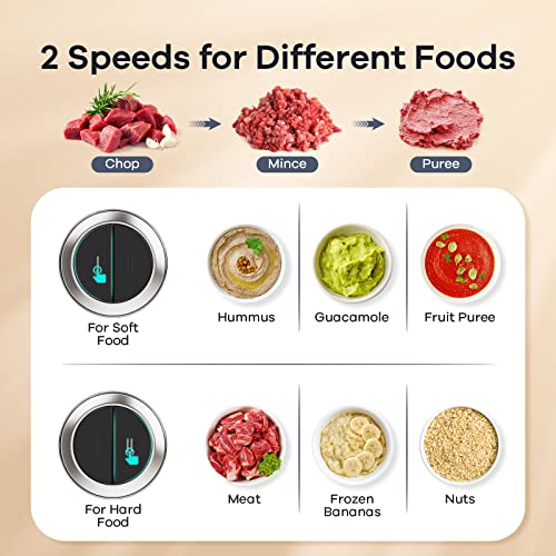 GANIZA Food Processors, Electric Food Chopper with Meat Grinder & Vegetable Chopper - 2 Bowls (8 Cup+8 Cup) with Powerful 450W Copper Motor - Includes 2 Sets of Bi-Level Blades (Silver)