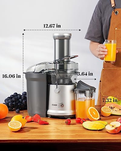 GDOR 1200W Juicer, 3.2" Wide Chute, Titanium-Enhanced Blade, Heavy-Duty Copper Motor, Dual Speed Centrifugal Juice Extractor, BPA-Free, Silver