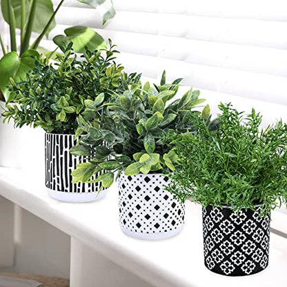 Winlyn 3-Pack Artificial Potted Plants - Faux Eucalyptus, Rosemary, Boxwood Greenery in Small Black & White Geometric Concrete Pots -Desk, Table, Shelf, Windowsill Decor for Indoor Outdoor Home Office