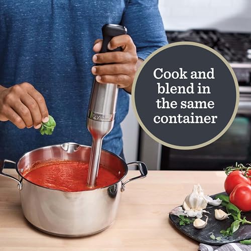 Vitamix 5-Speed Immersion Blender 3-Piece Bundle with Whisk Attachment and Storage Case, Professional-Grade Hand Blender with 625-Watt Motor and Stainless-Steel Blade, Stainless Steel/Black