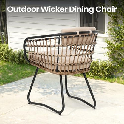 Pellebant 11 Piece Outdoor Dining Set for 10, Aluminum Table & Wicker Chair