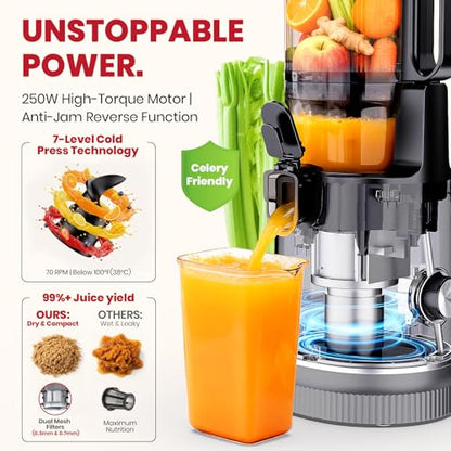 Laudlife Cold Press Juicer with 5.9" Wide Feed Chute, Integrated 100oz Capacity Hopper & Strainer Design, Easy Clean & BPA Free, Slow Masticating Juicer Machines for Whole Fruits Vegetables