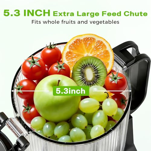 Cold Press Juicer, Juicer Machines with 5.3" Wide Feed Chute, Slow Masticating Juicer for Whole Fruits and with Vegetables High Yield (Gray)