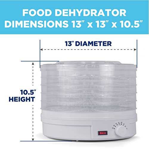 Westinghouse Food Dehydrator, Beef Jerky Maker, Food Preservation Device, Food Dehydration Machine, Dried Fruits and Vegetables Maker, Countertop Small Kitchen Appliance, WFD101W