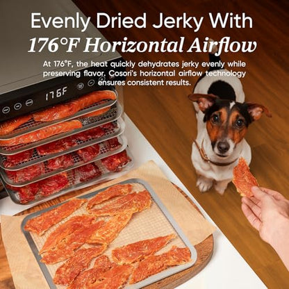 Cosori Food Dehydrator for Jerky, 176°F Temperature Control, 5 Stainless Steel Trays with 3.1 ft² Drying Space, 4 Presets, 48H Timer, for Dog Treats, Meat, Fruit, Veggies, Snacks, Bright-Silver