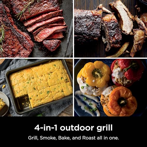 Ninja Woodfire Outdoor Grill & Smoker, 4-in-1 Functionality, Grill, Smoke, Bake, Roast, Authentic Woodfire Flavors, Electric Heat, OG301