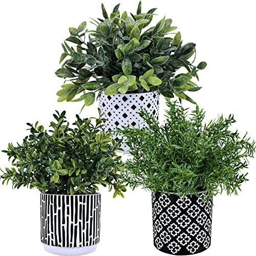 Winlyn 3-Pack Artificial Potted Plants - Faux Eucalyptus, Rosemary, Boxwood Greenery in Small Black & White Geometric Concrete Pots -Desk, Table, Shelf, Windowsill Decor for Indoor Outdoor Home Office