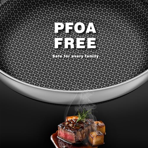 Eclumy Non Stick Frying Pans, Stainless Steel Pans Tri-Ply Frying Pan with Lid, Non-Toxic PFAS PFOA PTFE Free, Metal Utensil Dishwasher & Oven Safe Induction Compatible (9-inch)