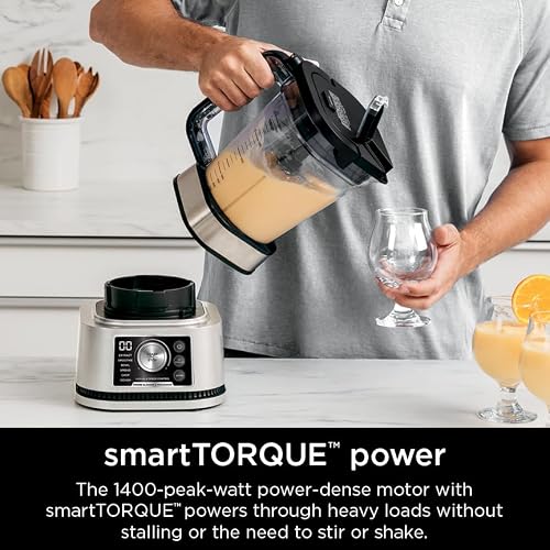 Ninja Foodi Power Blender & Food Processor, 6 Functions, Silver, SS351