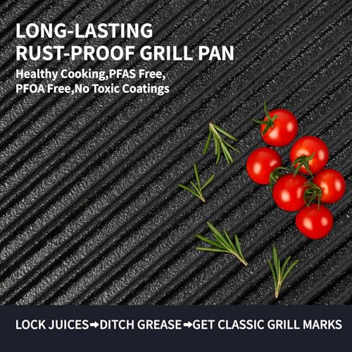 Tastedeli Cast Iron Grill Pan,9.25" Pre Seasoned Skillet with Pour Spouts,Silicone Handle Cover for Indoor and Outdoor Grilling,Durable Oven Safe,Stove Campfire Use(Black)