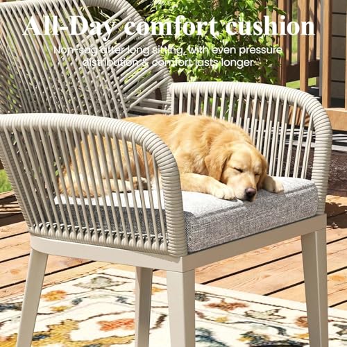 LayinSun Outdoor Dining Set for 10, 11 Pieces Patio Furniture Sets with Aluminum Dining Table and Rope Weave Chairs