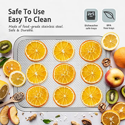 Septree Compact Food Dehydrator, 4 Stainless Steel Trays Fresh Dryer Machine for Jerky Herbs Fruit Veggies Snacks, with Digital Timer | 190F Temperature Control, Great Size for Small Family