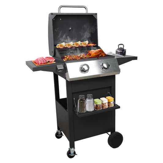Cyphyja 2 Burner Gas Grill, 20000 BTU Propane BBQ Grill for Summer Cook/Camp/Gift, Stainless Steel Barbecue Grill for Patio/Deck/Backyard