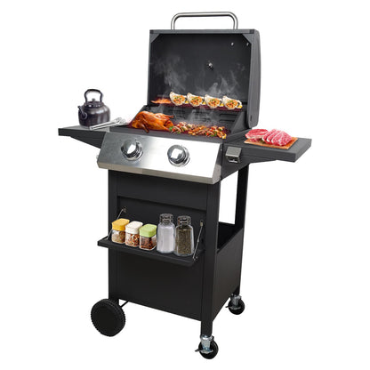 2 Burners Portable BBQ Gas Grill, 20000 BTU Small Camping Barbecue Propane Grills Outdoor Cooking, Built-in Thermometer Stainless Steel Barbeque Propane Grills for Patio/Backyard/Garden/Picnic